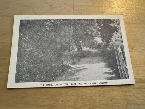 Postcard the drive - postcard,