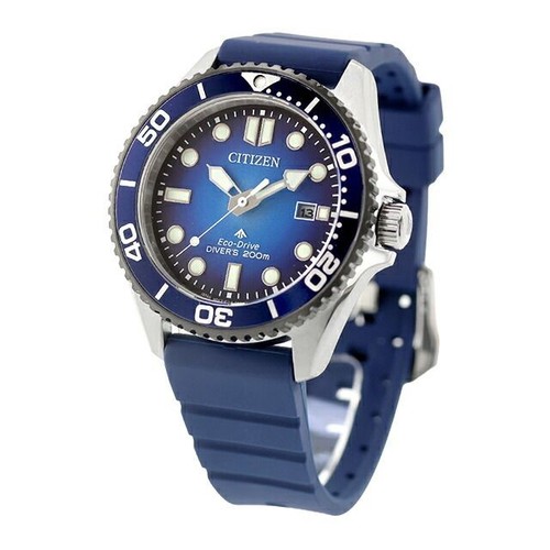 Nuovo citizen promaster - citizen,
