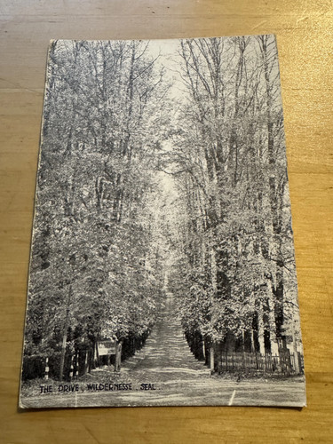 Postcard the drive - postcard,