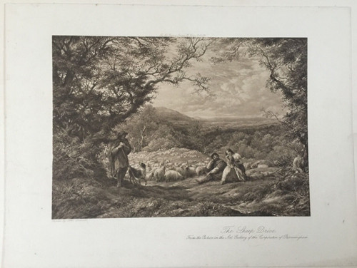 The sheep drive 1900 - the,