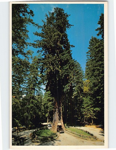 Cartolina the drive - the, thru